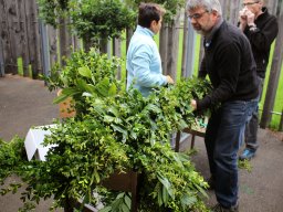 IMG_8996-bearbeitet